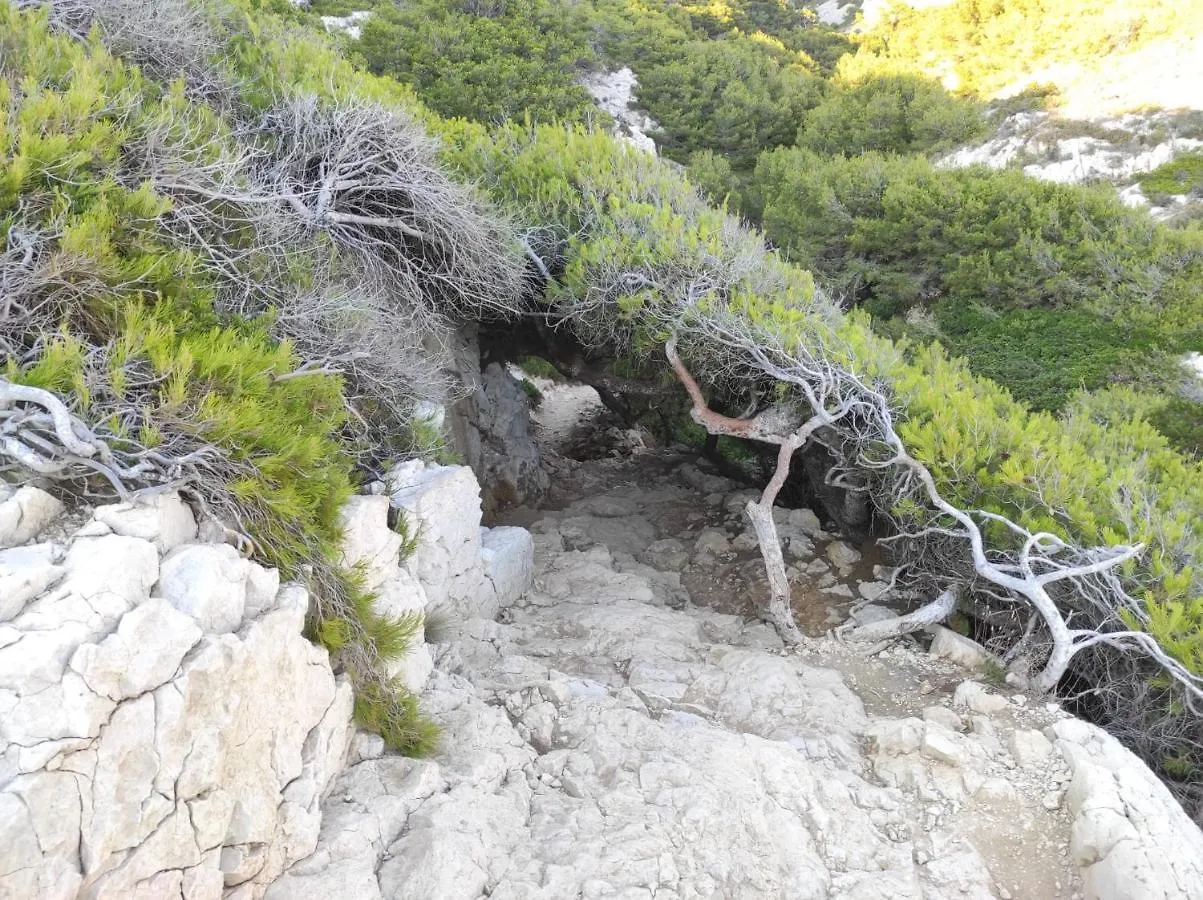 Chill Out Cabanon Coeur Calanques Villa Marseille 0*,